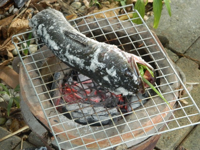 เผาเกลือ