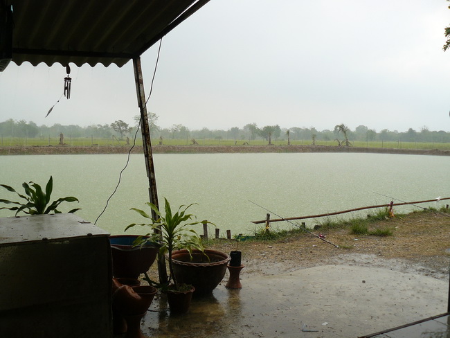 จัดหนักเจงวันนี้น้องฝนจ๋า :cheer: :cheer: :cheer: :cheer: :cheer: