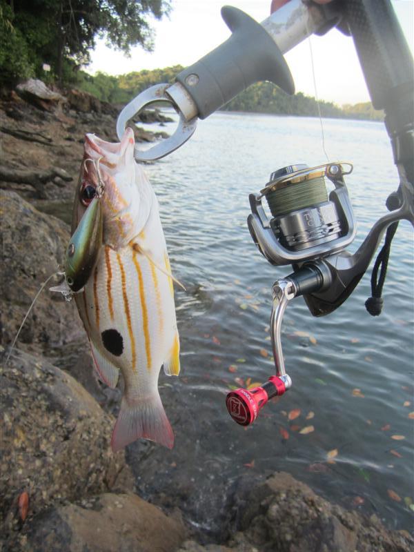  :cheer:         RAPALA Clackin.....................................................................