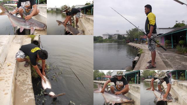 ภาพรวมๆ