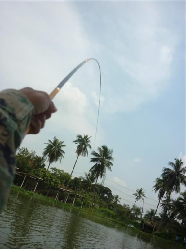                                    ลงเม็ดต่อไปโดนตอดตลอด