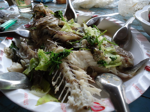 ปลากระพงนึ่งสดๆๆ :cheer: :cheer: :cheer: :umh: :umh: :umh: :umh: :umh: :umh: