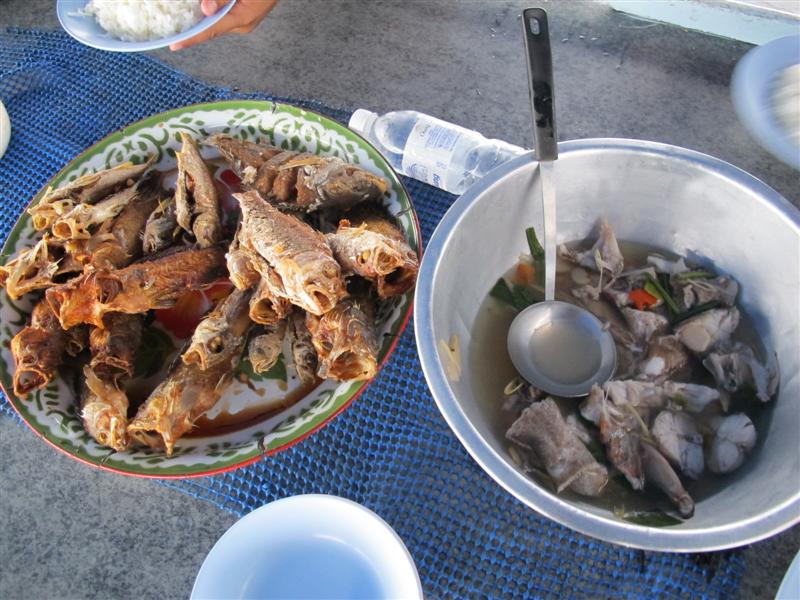 อาหารอีกมื้อมาอีกแล้วครับ.....  :cheer: :cheer: