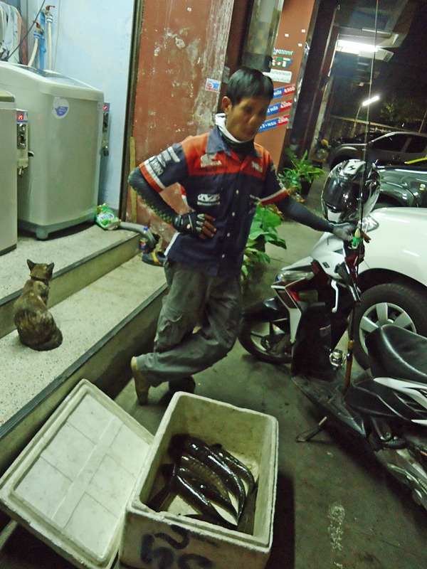 หลังจาก..ได้ตัวนั้น ตัวสุดท้าย พวกเราก็แว็นซ์ กลับมาบ้าน พี่ทุย !!!    :grin: :grin: :grin:

( มาถ