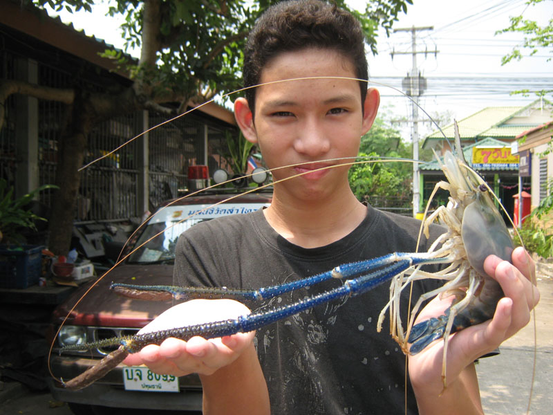 นายแบบคนนี้ใครรู้จักบ้าง ไม่ช่วยตก แต่ช่วยกิน :laughing: :laughing: :laughing: :laughing: