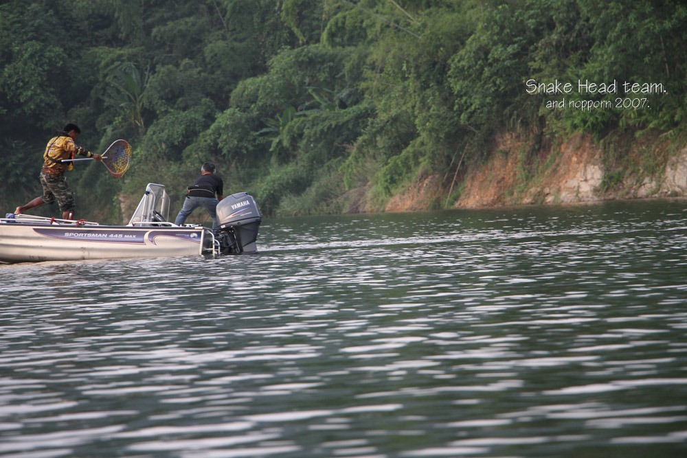                                                                  ที่เห็นอยู่นี่เรือของ น้าอิ๋ว มากับ