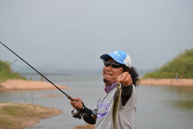 จัดมาหนึ่ง