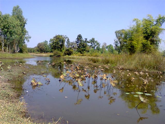 ตีอยู่ที่เดียวตรับ
