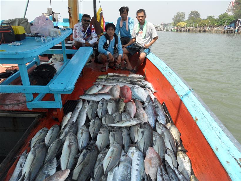 ปลารวมๆพอได้มันส์  :cheer: :cheer: :cheer: :cheer: :cheer: