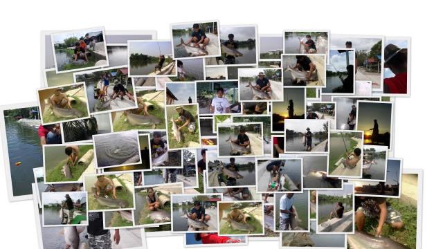 ภาพรวม ปี 55 ครับ :cool: :cool: :cool: :cool: :cool: