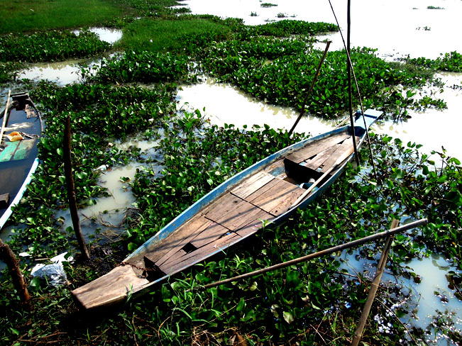 เอา...มาถึงแล้วครับผม.เรือ เพราลี่..ที่จะพาเราไปยังหมายเด็จ ดวงจอดเทียบท่ารอ อยู่แล้ว.
ขึ้นเรือแล้ว