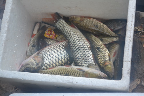 ในส่วนของผม ฝากไว้เท่านี้ก่อนนะคร้าบบ

รอน้าท่านอื่นมาสมทบอีกนะครับ

ขอบคุณครับ

 :cheer: :che