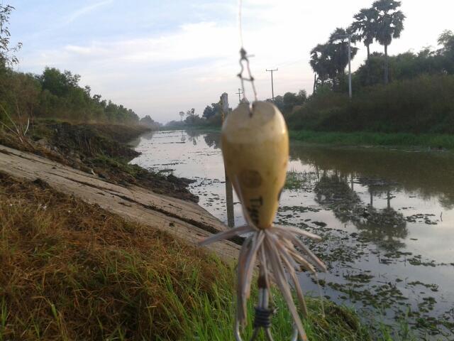 เลยส่งกบไปถามซักหน่อย555