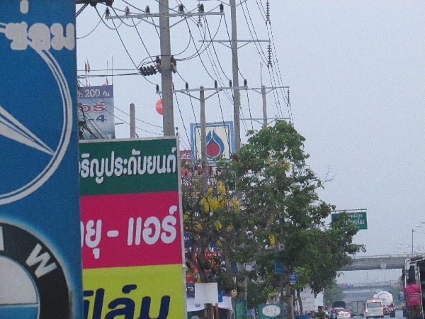 ขาดไม่ได้เลยครับ :cheer: :cheer: