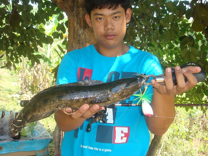ตัวนี้เกือบๆ โล คร้า  :tongue: :tongue: