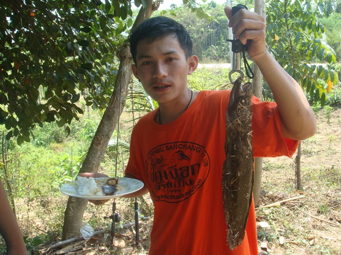 กินข้าว ยังจะถ่ายน่ะ พ่อคู๊น  :cool: :cool: :cool: :laughing: