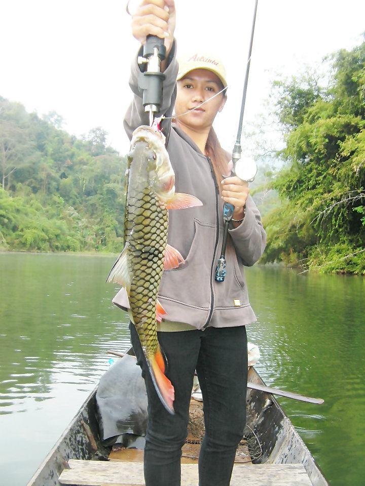 ส่วนนี้ตัวที่ 3 เหยื่อพังเลย 