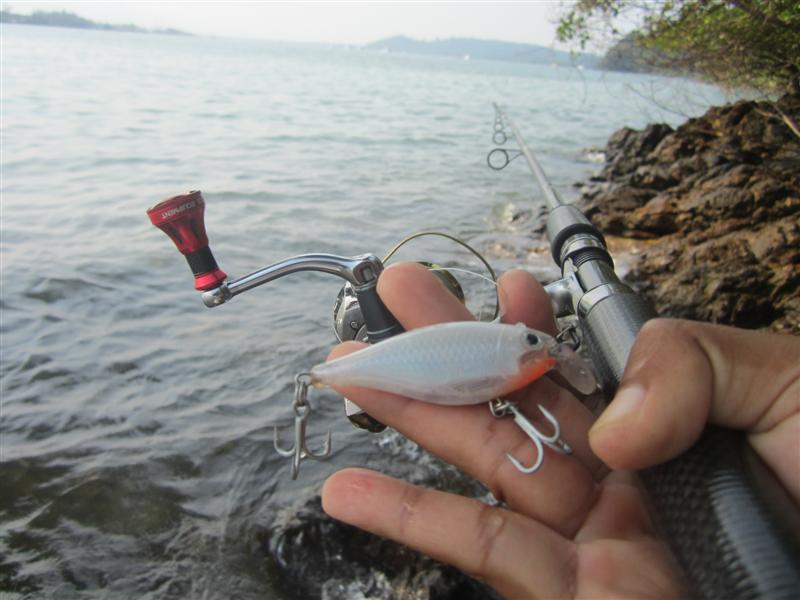  :cheer: เหยื่อตัวแรกที่เลือกใช้  RAPALA X - Rap 6 