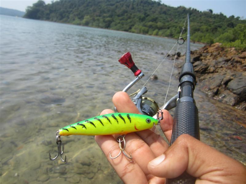  :cheer: ในเมื่อมันไม่มีอะไรมาสนใจเหยื่อ  ก็ต้องเปลี่ยน 
 
:cheer:  RAPALA Flap-RAP 8 เขียวไฟร์ไทเ