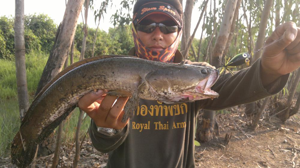 เอาซะหน่อย..