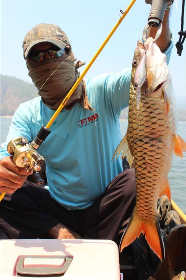 คัน Storm Mojo เหยื่อ Storm Smash Shad :cool: :cool: :cool: