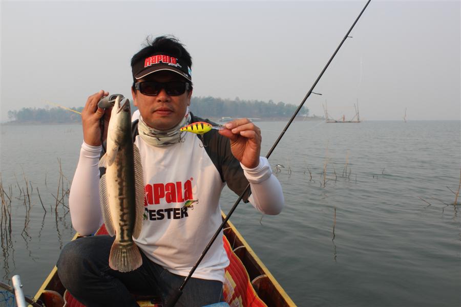 Rapala Risto Rap เหยื่อที่ใครๆก็รัก :smile: :smile: :smile: