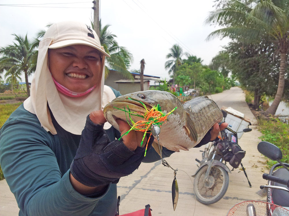 ตัวนี้   [b]โก๋ซ่า  ไม่ยอมน้อยหน้าเหมือนกัน  กัดสปินเนอร์  พันแท้เหมือนกันวุ่ย[/b] :laughing: :laugh