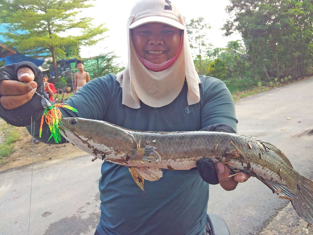 จ้าวถิ่น  ออกมาสังเกตุการณ์อยุ่ด้านหลังผมเลย :laughing: :laughing: :laughing: