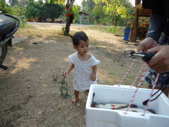 ลูกคนเล็ก พื่งหัดเดิน จะเดินมาดูปลา :love: :love: :love: :love: :love: :love:
  :heart: :heart: :he
