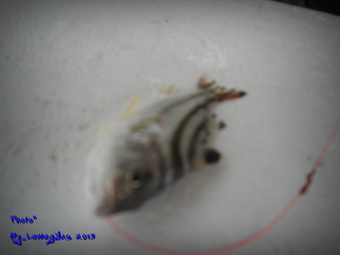 นี้มันๆๆ ข้างตะเภา นี้เอง 55  :laughing: :laughing:
