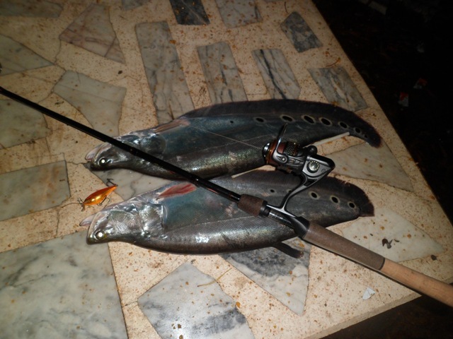 ปลาทอง 5 cm.  Rapala  ครับผม    :grin: