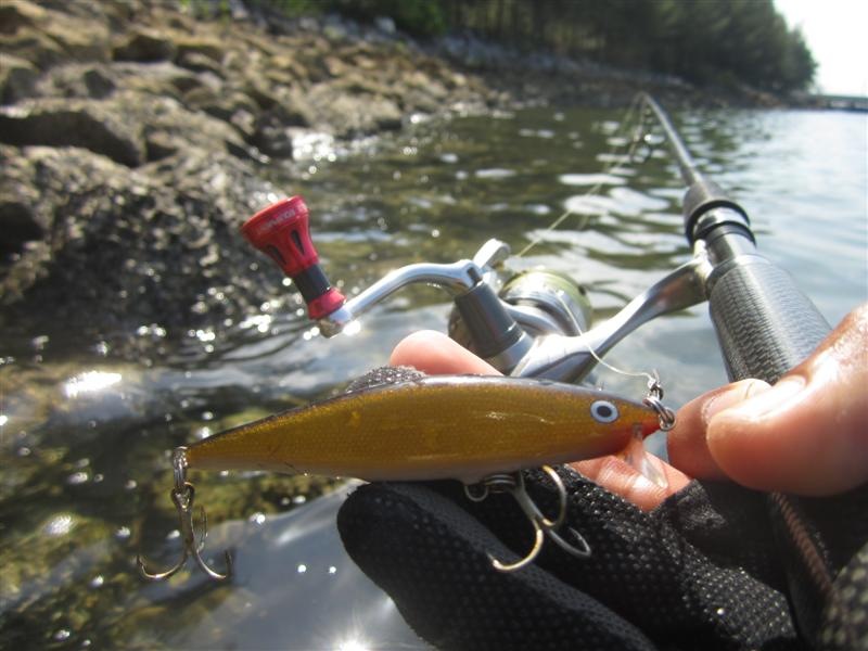  :cheer: เหยื่อตัวแรกที่เลือกใช้  RAPALA FLAT RAP 8 