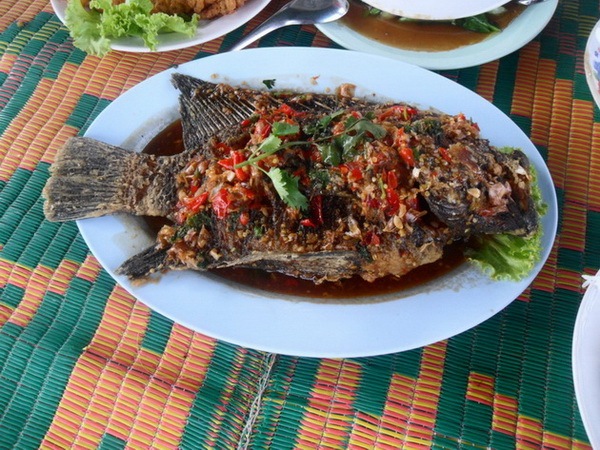 มื้อนี้มีปลาหมอบัตเตอร์ราดพริกครับ อร่อยมากๆ
 :umh: :umh: :umh: :umh: