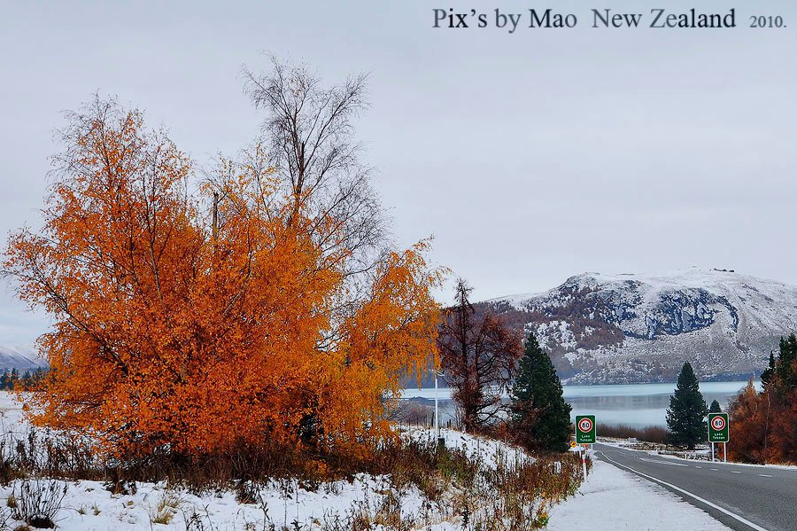 ก่อนถึง Lake Tekapo