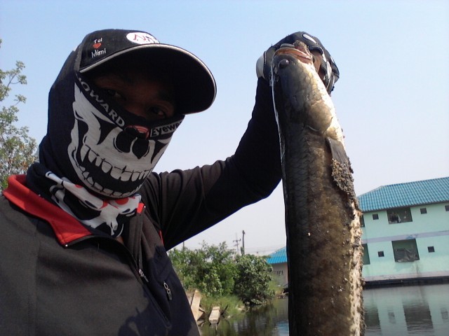 ส่วนผมยังติดใจปลาช่อนครับ :grin: