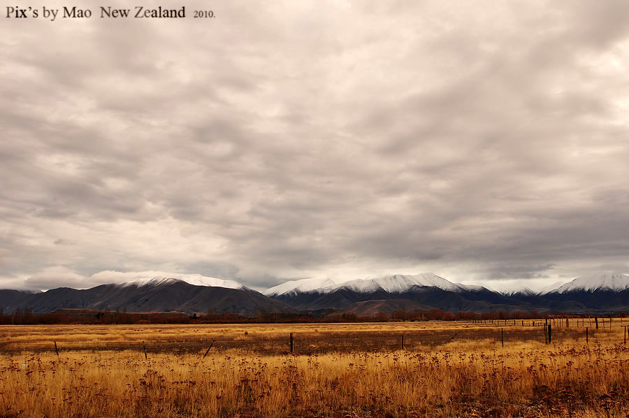 เราเดินทางย้อนกลับไป Lake Pukaki เพื่อพักที่นั่นกันครับ :grin: