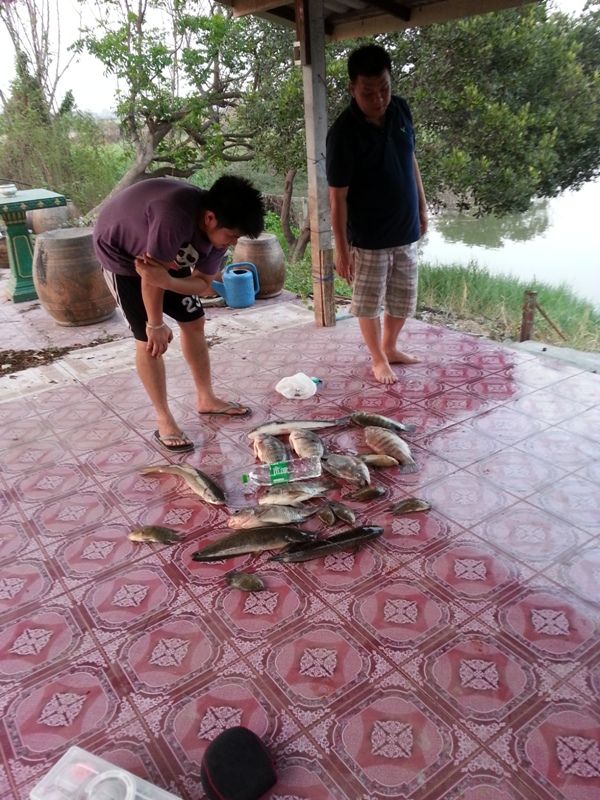 ลากันด้วยภาพนี้นะครับ ขอบคุณทุกท่านที่ตามชมครับ หากมีทริปหน้าจะเอาภาพมาให้ชมกันอีกนะครับ

ขอให้มีค
