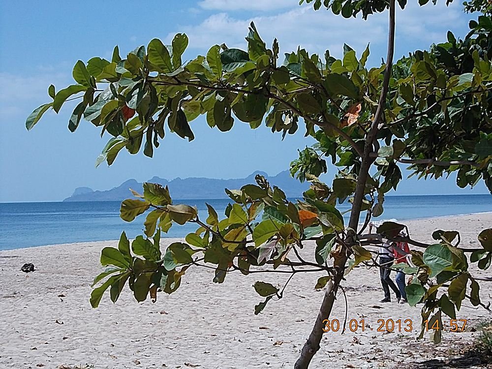  :laughing: :laughing: :laughing: ถึงซะที  หาดทรายและทะเล ขอไปนอนก่อนครับตี 4 แล้วเดี๋ยวเช้าทำงานอีก