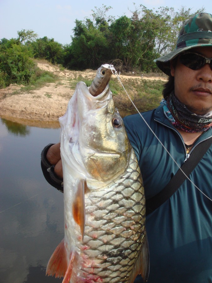 กัดตัวนี้  :love: