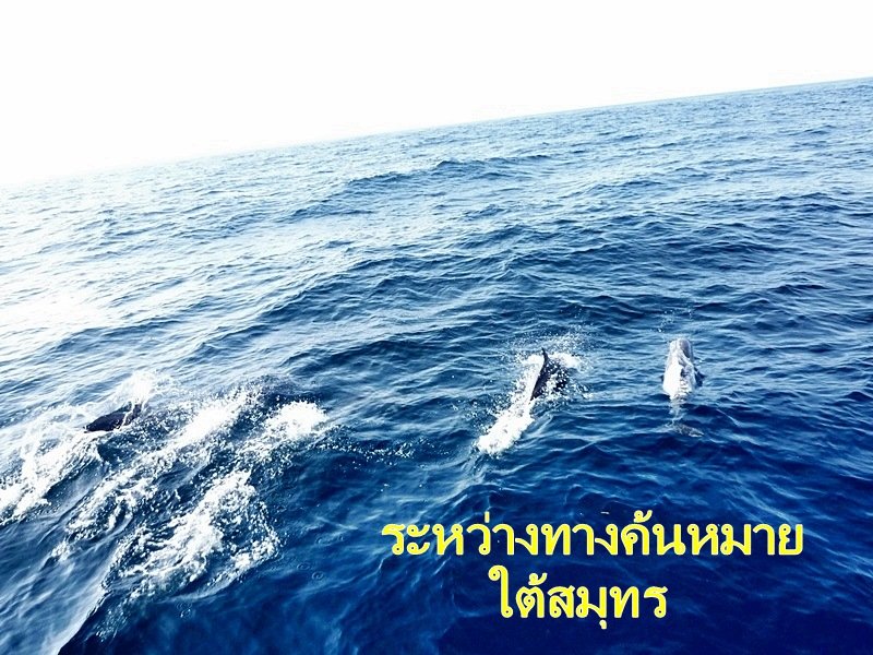 .........สวัสดีครับ.........น้า
    
        kwong.ch99             ,    แป้นยักษ์
      
      