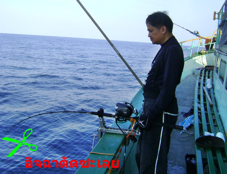  :grin: :grin: :grin:-ขออนุญาต ทิ้งท้ายภาพนี้ไว้ก่อนครับ อยู่กับนายพรานแห้วแท้ไปก่อน ผมมีงานด่วนต่าง