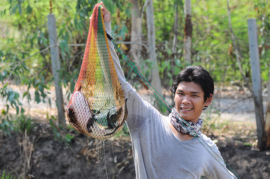 ยกกระชังปลาย้ายหมาย ไปสำรวจหมายไว้รอทำทริปเจิมเสื้อทีมใหม่อาทิตย์นี้ดีกว่า :grin: :grin: :grin: :gri