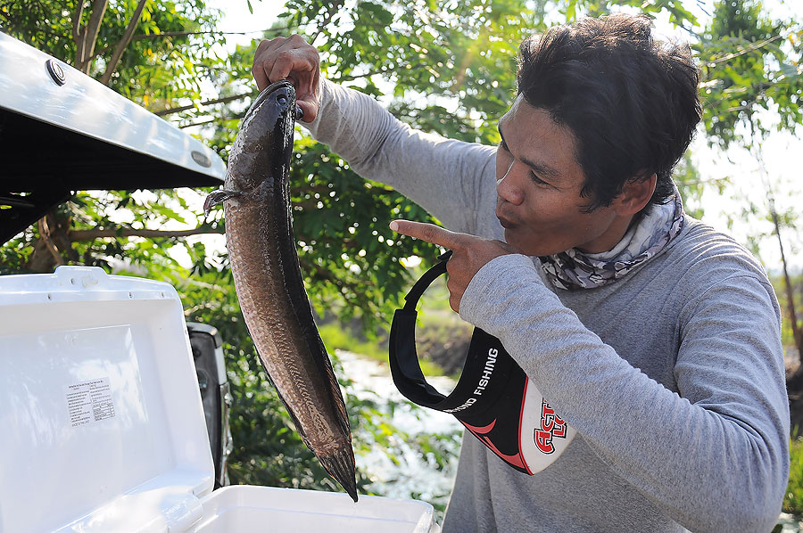 ตี๋ขอหล่อสักภาพ เอ้า..จัดให้หยิบปลามาถ่ายตัวนึงเลย :grin: :grin: :grin: :grin: