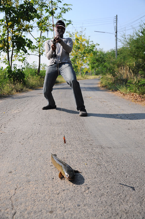 สอนตรุมั่งดิ :laughing: :laughing: :laughing: :laughing: :laughing: