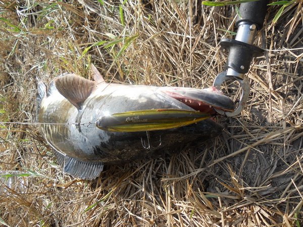 [q][i]อ้างถึง: fishingjoke posted: 29-03-2556, 12:07:40[/i]

 :cheer: :cheer: :cheer: :cheer: :che