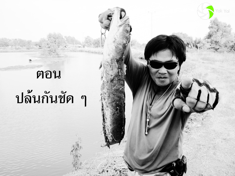 *** วิถีแห่ง Texas Rig 212 ***  ตอน   ปล้นกัน ชัด ๆ 