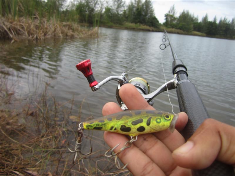  :cheer:  เห็นนํ้ามันเลียบๆ เลยเอาตัวนี้มาลองตีก่อนเลย RAPALA POPPER 7