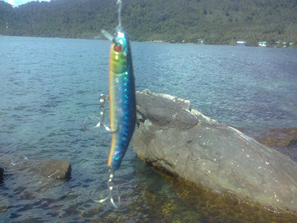 เหยื่อที่ใช้วันนั้นครับ little jack minnow โดนทั้งกุเรา กับ สากป้อก แต่ไม่มีรูปครับ เพราะหลังจากรูปน