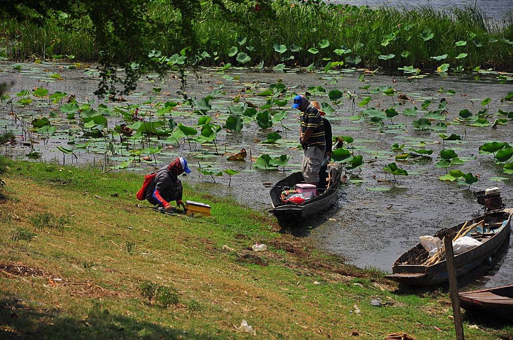 มีเรือวิ่งเข้าฝั่งมาลำนึง ใครนะไปดูหน่อยซิ

 :laughing: :grin: :grin: