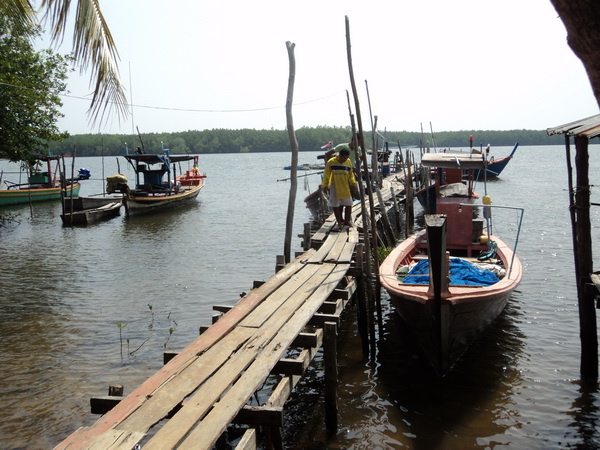 เมื่อสามเสือลงเรือหาปลาแกง